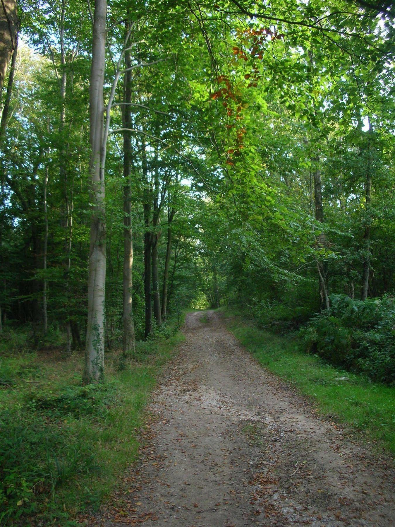 Les Jardins D'Hardelot Hotel Esterno foto